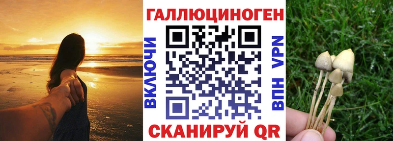 Галлюциногенные грибы Psilocybe  Купить где  Суровикино 